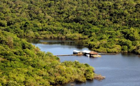 Amazonas