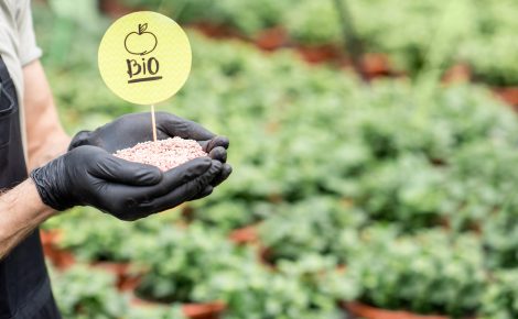 Pessoa segura insumos orgânicos com plaquinha “Bio” em meio a plantas cultivadas