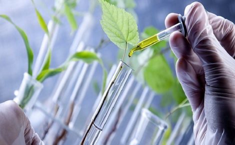 biotecnologia