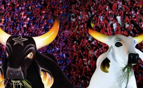 Bois Caprichoso e Garantido (Foto: Divulgação)