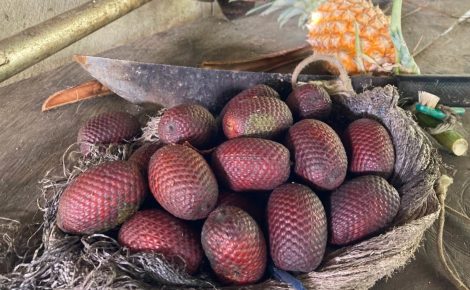 frutas amazônicas