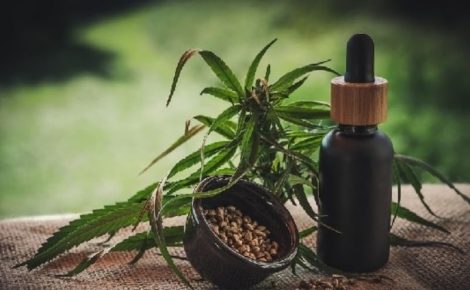 cannabis