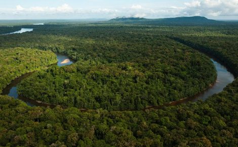 O Restaura Amazônia foi lançado em dezembro de 2023 pelo BNDES e pelo Ministério do Meio Ambiente (MMA) como parte do Plano Nacional de Recuperação da Vegetação Nativa (Planaveg 2025-2028)