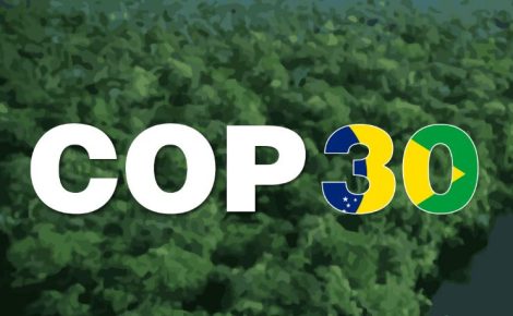 COP30 na Amazônia: A urgência global e o desafio local; o que ficará de legado?