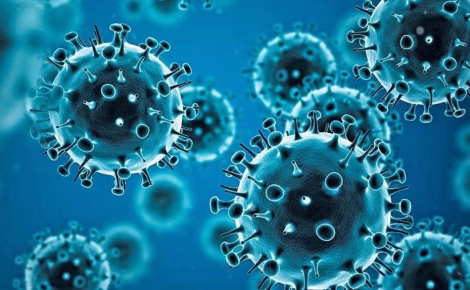 coronavirus