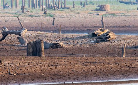 Há 18 anos, o Pará lidera o desmatamento na Amazônia, com uma área equivalente à Irlanda destruída.