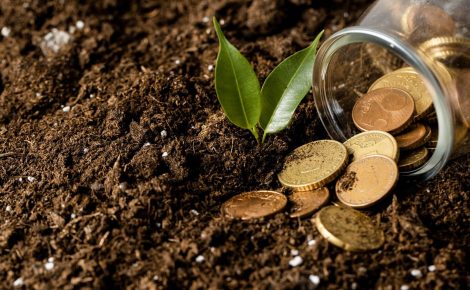 credito-rural-o-que-e-e-como-beneficia-seu-negocio-imagem-01