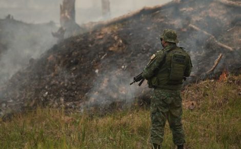 Governo do Estado intensifica ações da Operação Tamoiotatá (Foto: Vicente Silva / PMAM e Divulgação/PMAM)