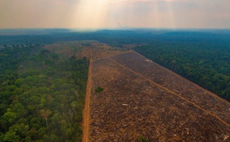 desmatamento-amazonia-1