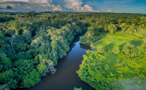 Fundo Amazônia receberá R$ 120 mi de doação da União Europeia