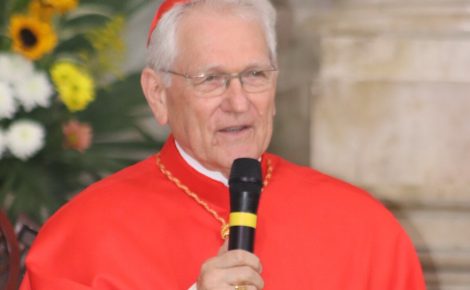 Dom Leonardo Steiner, arcebispo de Manaus (Foto: Divulgação/Arquidiocese)