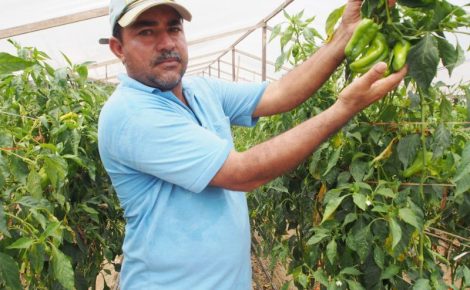 As inscrições são destinadas a agricultores e empreendedores de base familiar rural organizados em grupos formais. Os gêneros alimentícios atenderão ao Programa Nacional de Alimentação Escolar (Pnae). (Foto: Divulgação / Arquivo - Secretaria de Estado de Educação e Desporto Escolar, Secom e ADS)