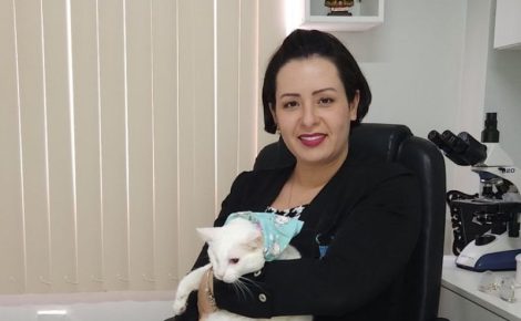 A identificação de 51 milhões de brasileiros como potenciais empreendedores fez com que o Brasil ocupasse a segunda maior população absoluta nessa categoria. (Foto: Divulgação)