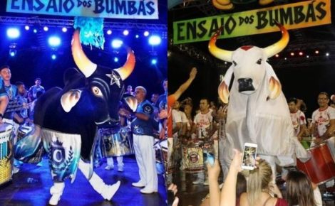 caprichoso e garantido
