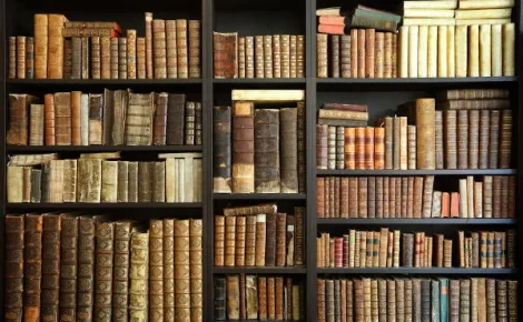estante com inumeros livros em alusao aos classicos da literatura brasileira que fazem parte da tradicao literaria nacional