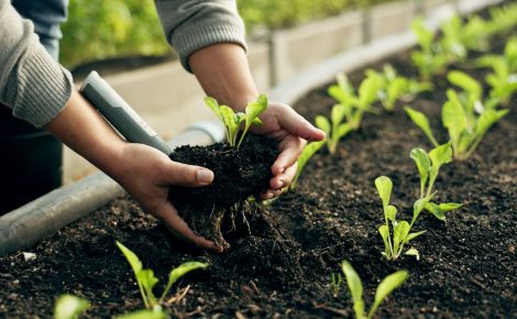 Natura e Carrefour destacam compromissos com sustentabilidade e inclusão em momentos de reavaliações globais de políticas ESG.
