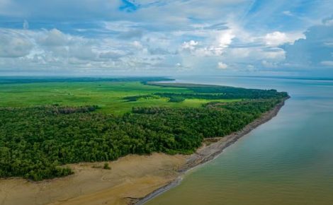 Foz do Iguaçu. (Foto: Instituto Onça-Pintada/Divulgação)