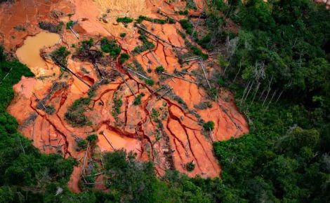Ações de devastação como garimpo ilegal afetam principalmente as áreas indígenas do Pará e de Roraima, aponta estudo (Foto: Christian Braga/Greenpeace)