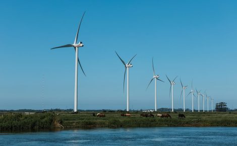 Parque eólico da Honda Energy em Xangri-Lá, no Rio Grande do Sul, com aerogeradores alinhados e área de campo próxima ao lago.