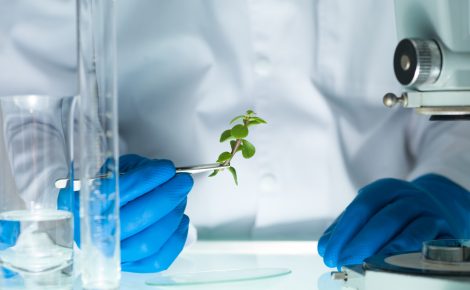 Cientista com luvas azuis analisa uma pequena planta sob microscópio em laboratório