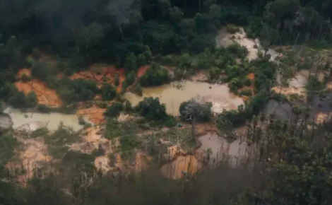 MPF denuncia cooperativa indígena por garimpo ilegal em Santa Isabel do Rio Negro