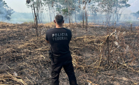 Do total de 688 inquéritos em andamento na PF, 126 são relacionados a crimes ambientais