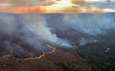 Incêndio na Chapada dos Veadeiros (Foto: @CBMGO/Divulgação)
