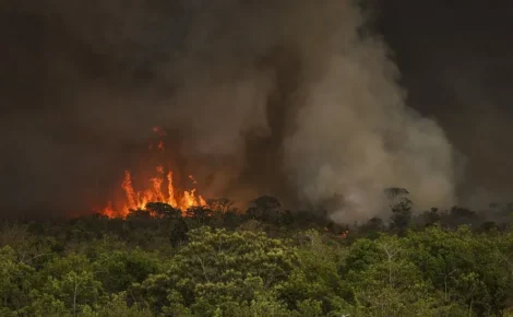 Nos últimos cinco anos, os focos de incêndio em vegetação nativa se mantinham na média de 10%. / Foto: Marcelo Camargo/Agência Brasil