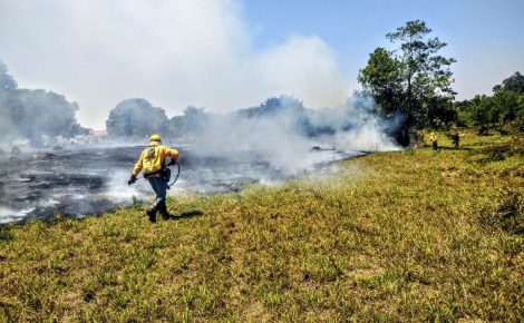 incendios_florestais_nas_unidades_de_conservacao_caem_pela_metade_01112000467