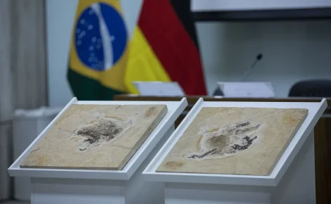 Joédson Alves/Agência Brasil