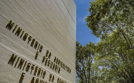 Selecionados serão contratados por 4 anos, prorrogáveis por mais um. (Foto: Rafa Neddermeyer/Agência Brasil)