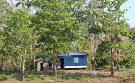 MPF pede R$ 10 milhões de indenização a comunidades no Amazonas afetadas por projeto de crédito de carbono. (Foto: Divulgação/Trocano Project)