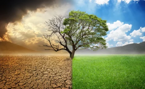 'TEDxAmazônia' reúne ministra, artistas e especialistas para debater emergência climática