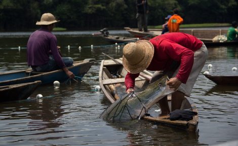 Fapeam oferece bolsas para pesquisas sobre pesca artesanal