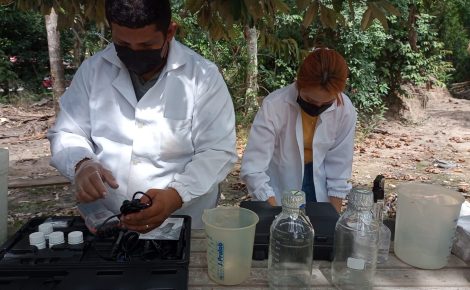 Fungos filamentosos amazônicos usados em biotratamento da água do Igarapé do Mindu