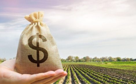 Os recursos vão apoiar a produção agropecuária nacional de médios e pequenos produtores rurais. (Foto/ Reprodução)
