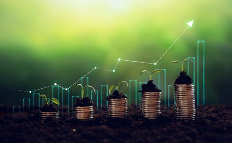 BNDES anunciou a liberação de R$ 80 milhões do Fundo Clima para financiar startup especializada em restauração florestal. (Foto: divulgação)