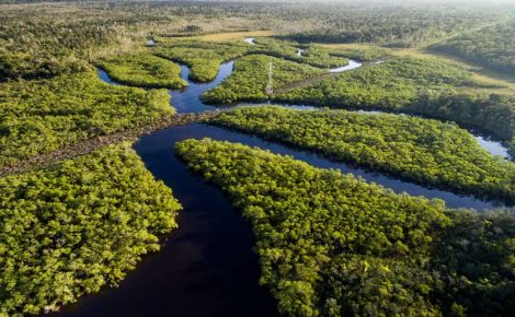 Amazônia