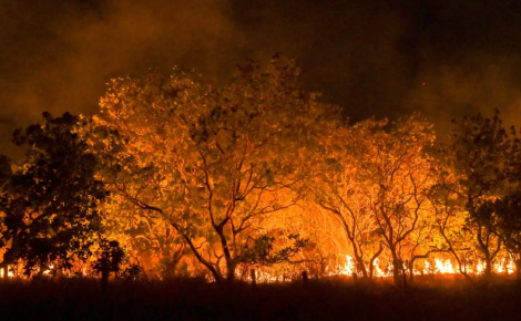 Amazônia concentrou 17,9 milhões de hectares queimados em 2024, liderando os impactos ambientais registrados no Brasil (Foto: Jader Souza/AL Roraima)