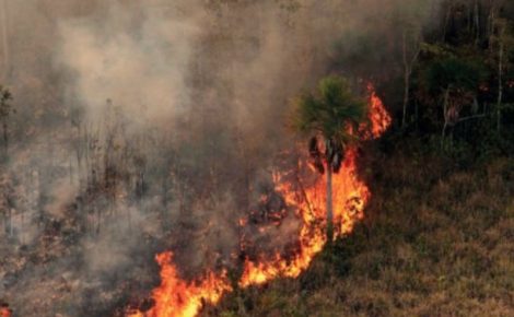 Monitoramento mostra que 99% dos incêndios são por ação humana (Foto: Reprodução)