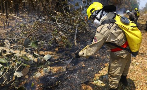 MPF quer a contratação de 450 brigadistas para o Norte do Brasil (Foto: reprodução)