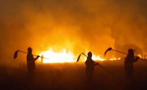 Brigadistas combatem fogo no Pantanal