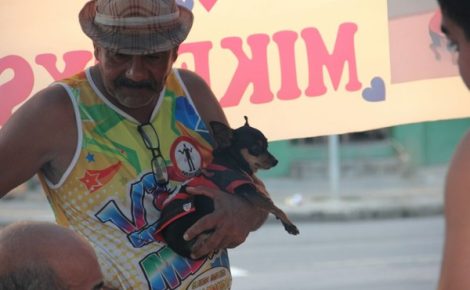 Engenheiro Rui Barbosa e o pinscher Mike Tyson