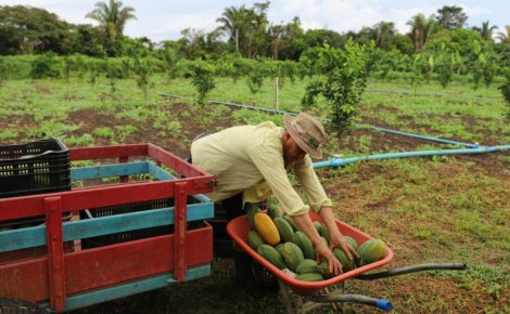 Imagem mostra produtor rural do Amazonas