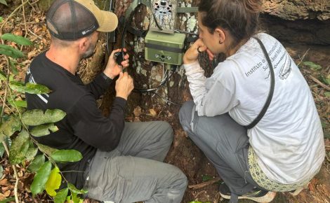 Pesquisadores instalam modulo que controla por meio de inteligência artificial a biodiversidade na RDS Mamirauá