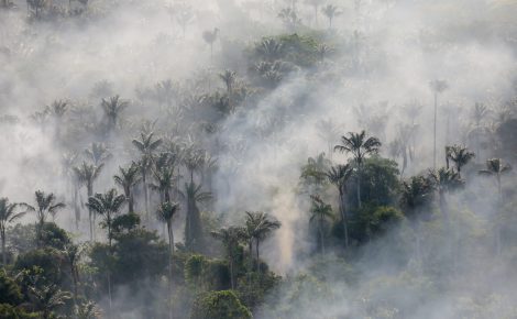 Queimadas