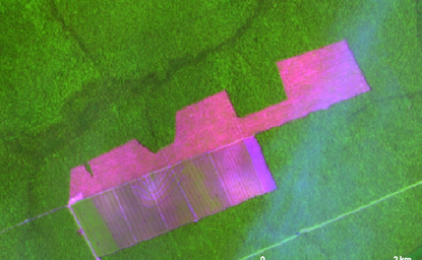 Imagem de satélite capta desmatamento na Amazônia
