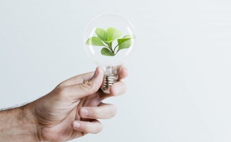remix-de-midia-de-campanha-de-energia-sustentavel-segurando-arvore