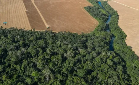 senado licenciamento ambiental 207309 (1)