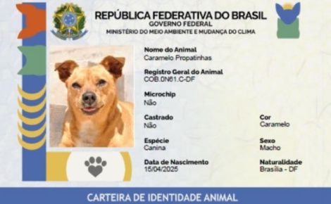 Cadastro no SinPatinhas gera RG com QR Code. (Foto: Reprodução/GOV)